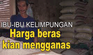 Harga Beras Tetap Tinggi, Sayuran Turun item-thumbnail
