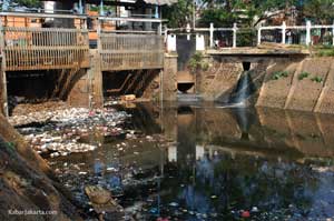 Selamatkan Penghuni DAS Ciliwung item-thumbnail