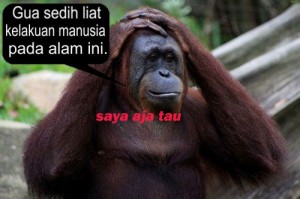 Apa Betul Anda Tidak Tahu… item-thumbnail