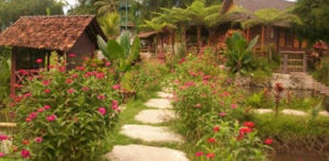 Karangbanjar Desa Wisata Terbaik item-thumbnail