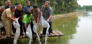 Heryawan Tinjau Normalisasi Situ Pengasinan Depok item-thumbnail