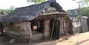 645 Rumah Gakin Ciawi Perlu Bantuan item-thumbnail