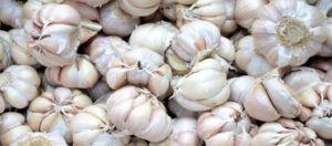 Harga Bawang Putih Rp40.000/Kg item-thumbnail