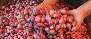 Harga Bawang Merah di Kramat Jati Naik 100 Persen item-thumbnail