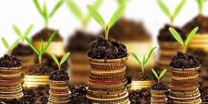 Investasi dan P3DN item-thumbnail