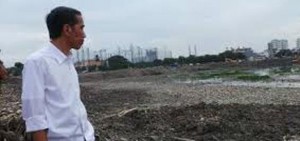 Pembenahan Waduk Merupakan Langkah Terpuji item-thumbnail