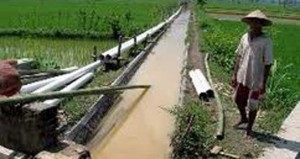Bupati Purworejo: Prasarana Irigasi Harus Dijaga item-thumbnail