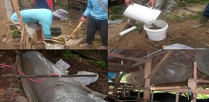 Energi Alternatif Biogas dari Kotoran Sapi item-thumbnail