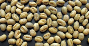 Kopi Lanang Penambah Vitalitas Pria item-thumbnail