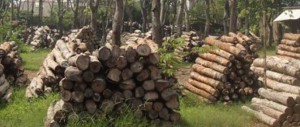 Disederhanakan, Pengurusan SVLK bagi IKM item-thumbnail