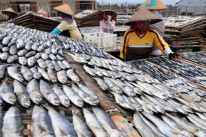 Gara-gara BBM, Harga Ikan Asin Naik item-thumbnail