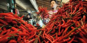 Mensiasati Kenaikan Harga Cabe dijual per biji item-thumbnail