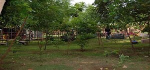 TWSL Probolinggo Menambah Koleksi Satwa item-thumbnail