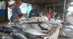 Harga Bahan Pokok di Kota Probolinggo Naik item-thumbnail