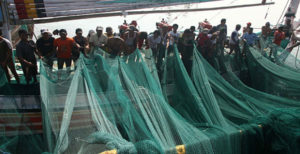 Harga Jaring Ikan di Indonesia Termahal item-thumbnail