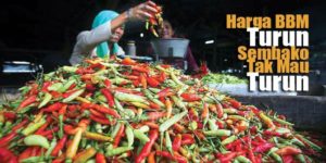 Bensin Turun Tak Pengaruhi Harga Sembako item-thumbnail