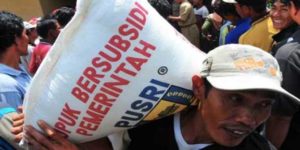 Jokowi Diminta Pertegas Subsidi Pupuk item-thumbnail