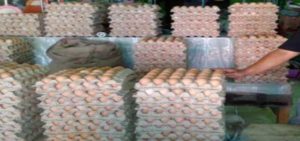 Harga Telur dan Kacang Tanah di Kebumen Naik item-thumbnail