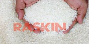 Marak Beras Plastik, Kemensos Diminta Awasi Raskin item-thumbnail