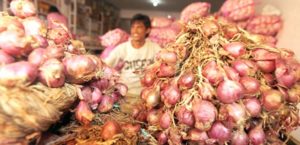 Bawang Merah Impor Dijamin tidak Ada item-thumbnail