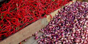 Pemerintah Impor Cabe dan Bawang ? item-thumbnail