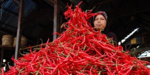 Naik Lagi Harga Cabe item-thumbnail