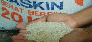 Presiden Minta Kualitas Raskin Betul-betul Baik item-thumbnail