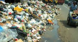 Presiden: Belum Ada Kota yang Berhasil Tangani Sampah item-thumbnail