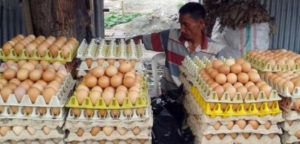 Permintaan Meningkat Harga Telur semakin Mahal item-thumbnail
