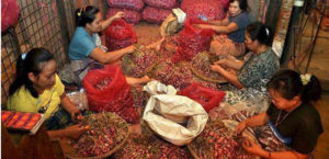 Mentan Menjamin Kestabilan Harga Hingga Lebaran item-thumbnail
