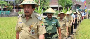 Panen Raya Padi di Desa Tangkil Sragen item-thumbnail