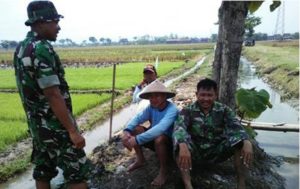 Babinsa Nglorog Komsos dengan Petani item-thumbnail