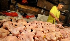 DPR Minta Mentan dan Mendag harus Kompak Tangani Kenaikan Harga Daging item-thumbnail