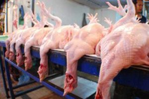 Harga Daging Ayam Bergerak Naik item-thumbnail