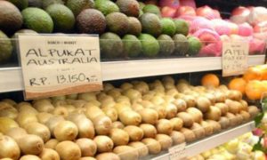 Masih Tinggi Pasokan Buah Impor item-thumbnail