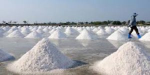 Data Produksi Garam Simpang Siur item-thumbnail