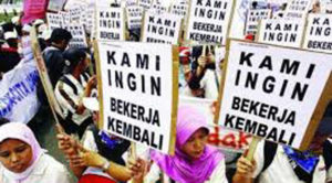 Kementerian Tenaga Kerja Juga, Kata Jokowi Sajikan Data yang tak Akurat item-thumbnail