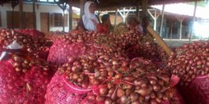 Soal Impor Bawang, Menko Perekonomian dan Menteri Pertanian Beda Pendapat item-thumbnail