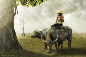 Suara Hati Anak Negeri item-thumbnail