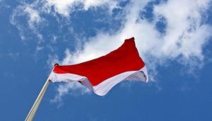 Selain Merah Putih, Ada Bendera-bendera Lain item-thumbnail