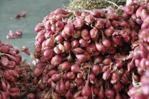 Harga Bawang Merah di Jakarta Tembus Rp 45.000/Kg item-thumbnail