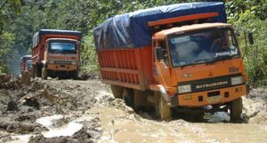 Darmin: Sejak 1998, Pembangunan Infrastruktur Sudah Mandek item-thumbnail