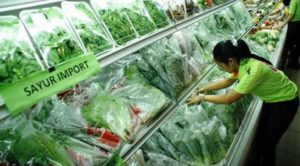Indonesia Impor 19.000 Ton Produk Hortikultura dari Victoria item-thumbnail