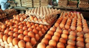 Harga Telur dan Ayam Ras di Jakarta, Melejit Naik item-thumbnail