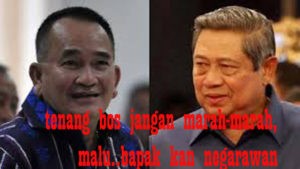 Ini Nasehat Ruhut Kepada SBY item-thumbnail