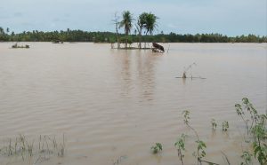 Pemkab Pesibar Dirikan Dapur Umum untuk Korban Banjir item-thumbnail