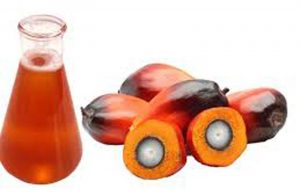 Pacu Nilai Tambah CPO, Kemenperin Dorong Pengembangan Bio Ester item-thumbnail