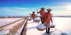 Konflik Lahan Garam di NTT Segera Diselesaikan item-thumbnail