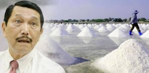 Luhut Ingin Kembangkan Potensi Garam Madura item-thumbnail