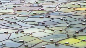 Indonesia Butuh 15.000 Ha Lagi Lahan untuk Perluas Ladang Garam item-thumbnail